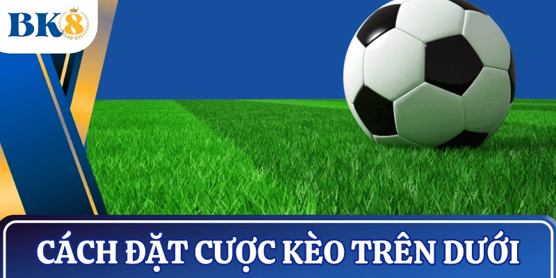 cach-cuoc-keo-tren-duoi