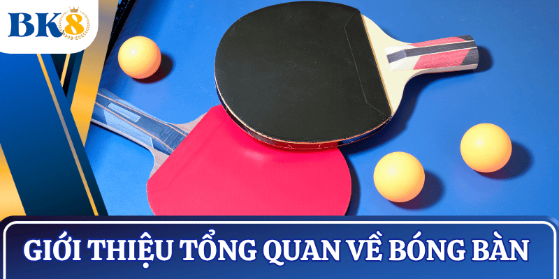 gioi-thieu-tong-quan-bong-ban