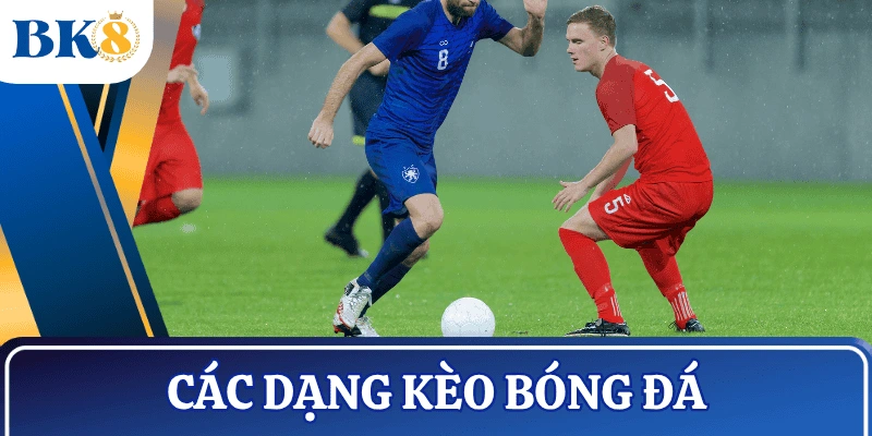 meo-cuoc-bong-da-ty-le-keo-cac-loai-keo