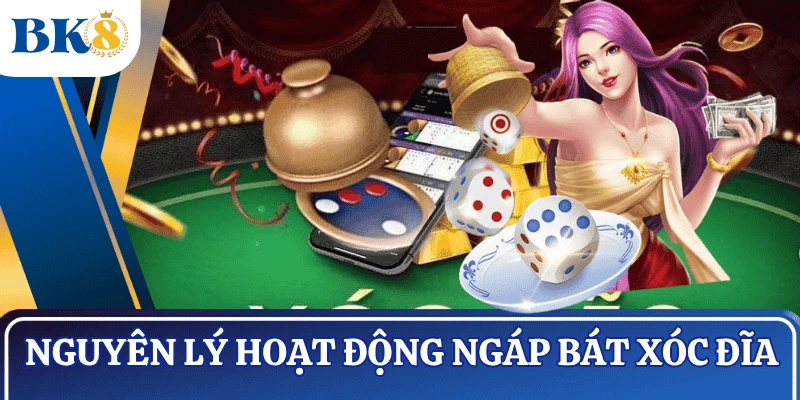 nguyen-ly-hoat-dong-ngap-bat-xoc-dia-la-gi